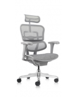 Ergohuman 2 Basic Grey