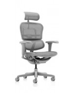 Ergohuman 2 Ultra Grey