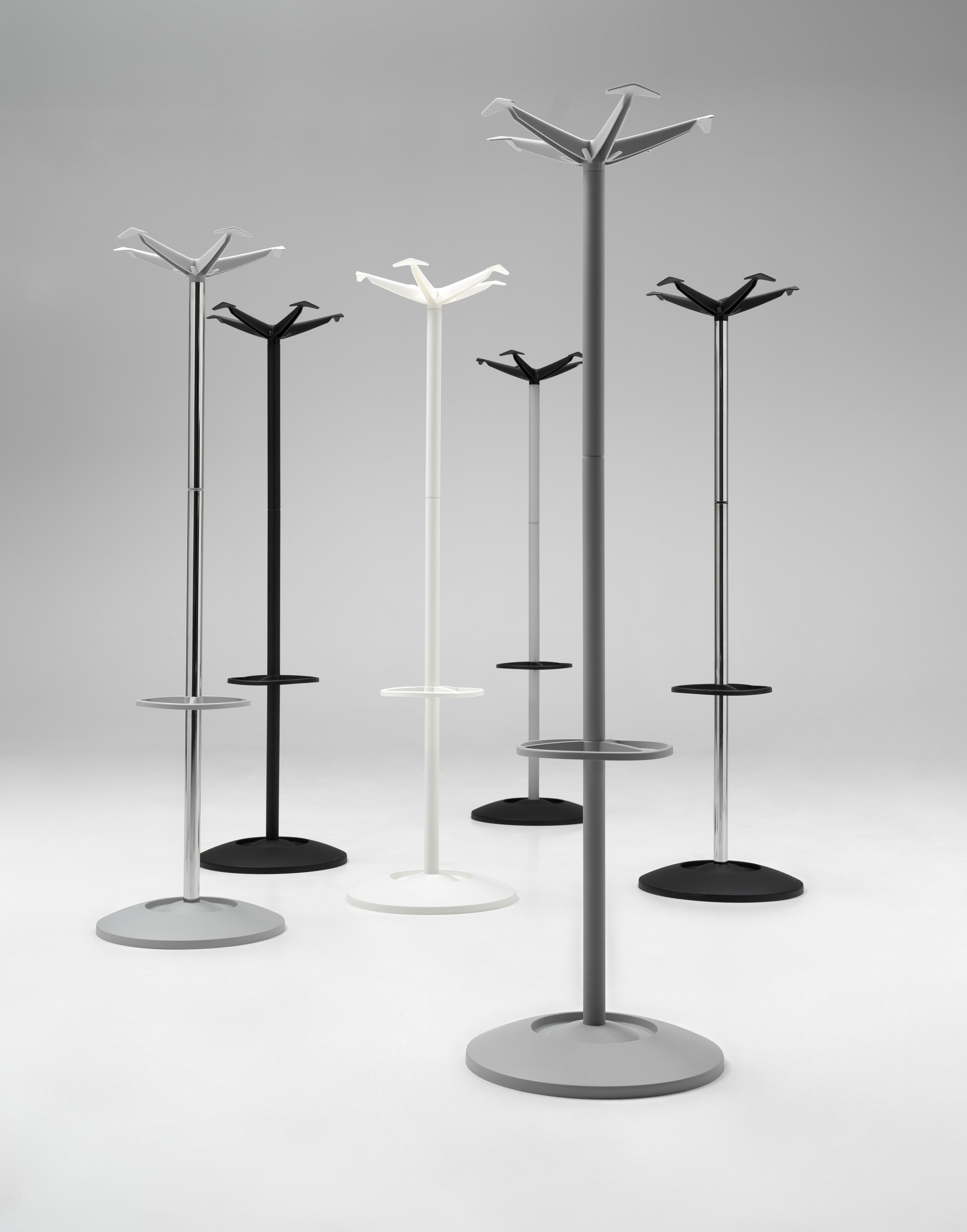 Colectia Steaua Colors