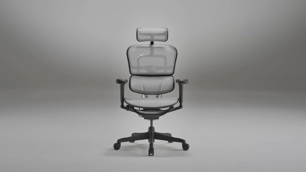 Prezentare generală Ergohuman Ultra