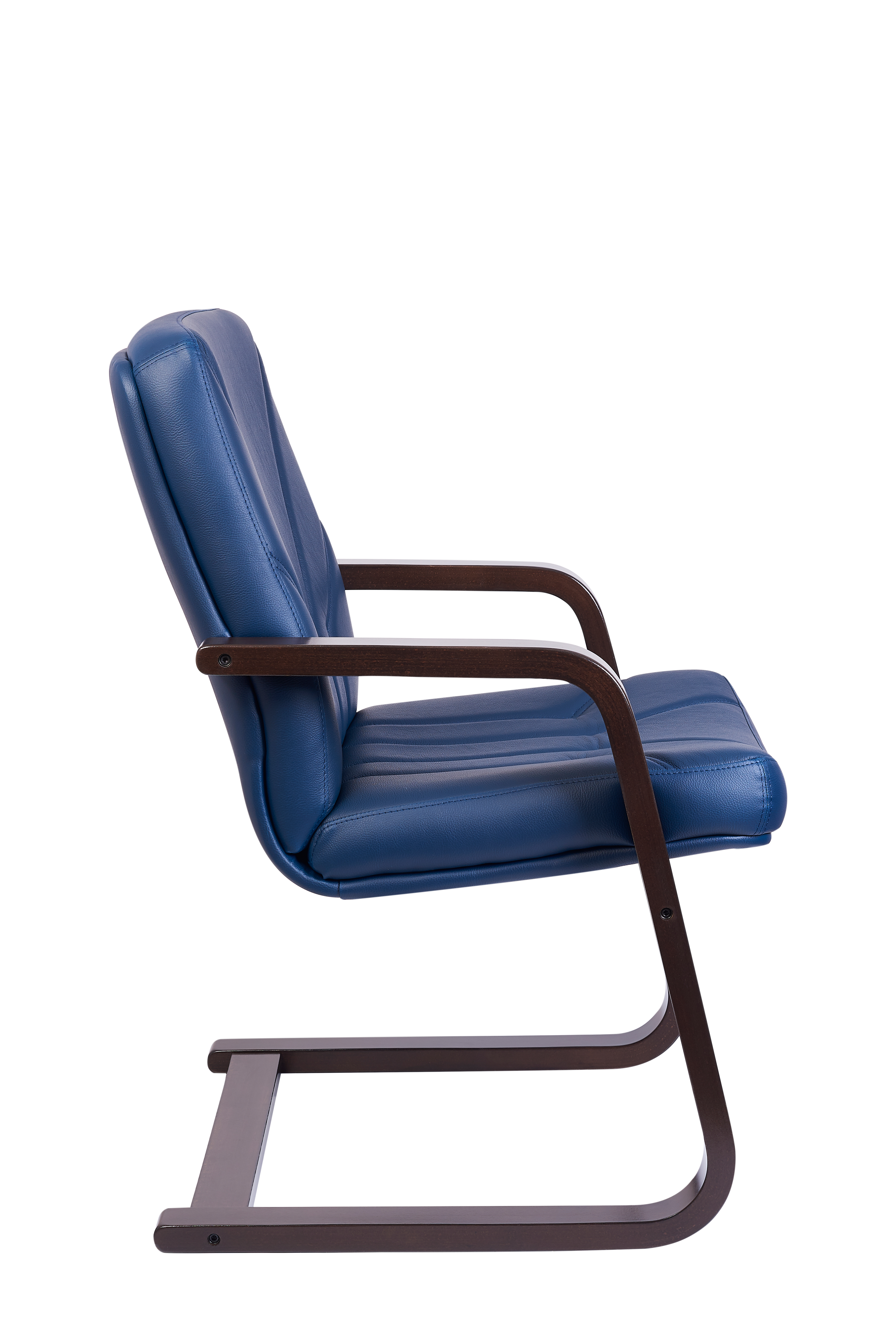 Profil lateral scaun sanie