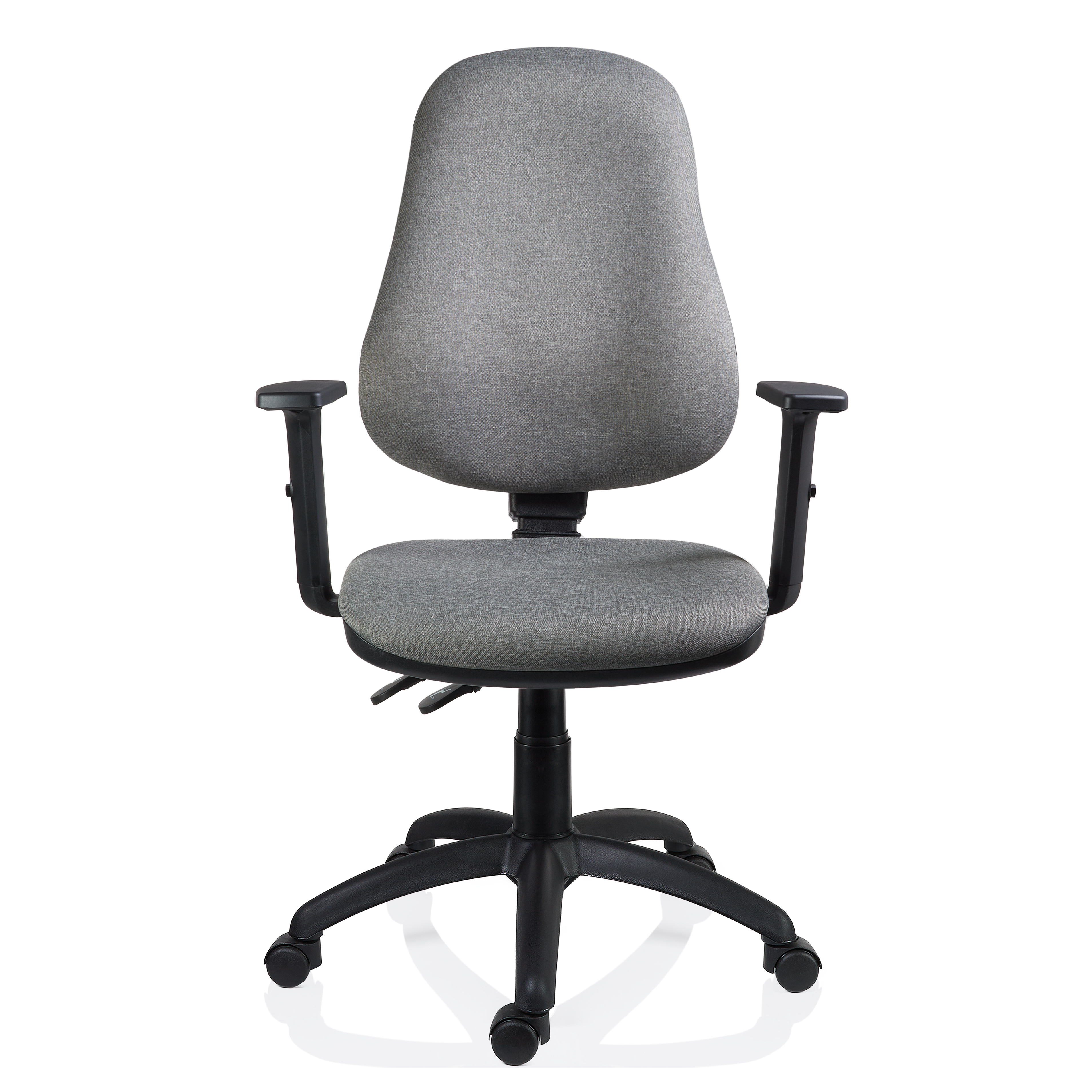 Scaun Xenia LX varianta gri