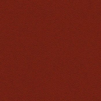 FBSA 106 - Rosu Inchis