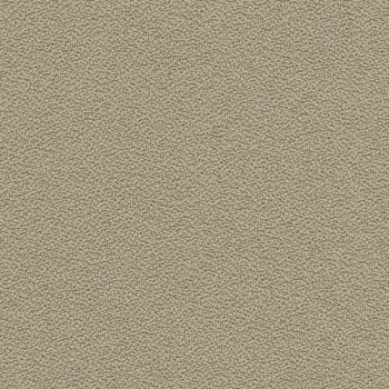 FBSA 422 - Gri Deschis